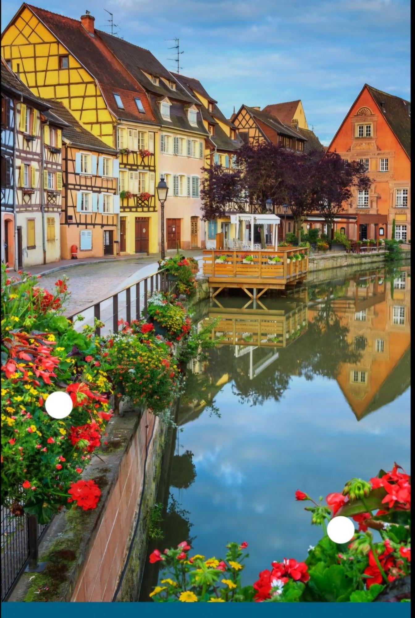 Apartment Du Logelbach Wintzenheim